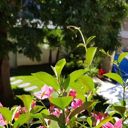 Villa Mary อองบวส ภายนอก รูปภาพ