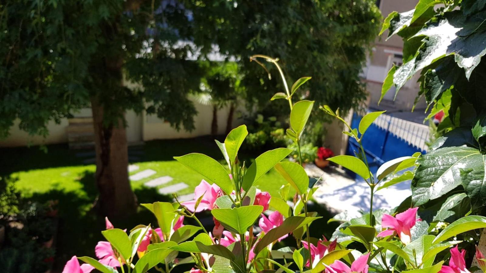 Villa Mary อองบวส ภายนอก รูปภาพ